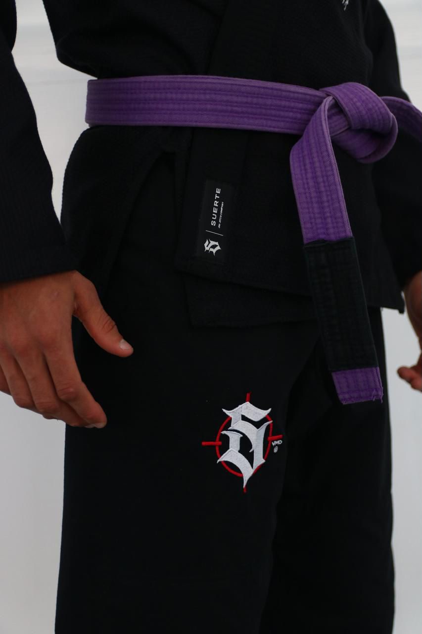 PREVENTA JIUJITSU SALVA - Imagen 7